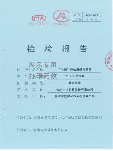 燃?xì)庹艄駲z驗(yàn)報(bào)告